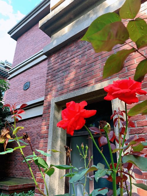 金河灣1881 藏不住了 不是每個小區都有這樣的雨后景色